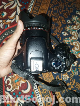 Canon 550D + 50mm with Prime Lens